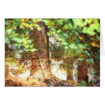 Impression Yosemite #44 cards by Sonomacats Impression Yosemite #44 cards