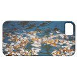 Impressionist Cherry Blossom Petals iPhone 5 Covers