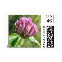 Impressionist clover postage