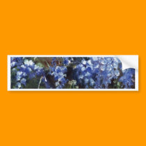 Impressionist FlowersWisteria Oil Painting bumper stickers