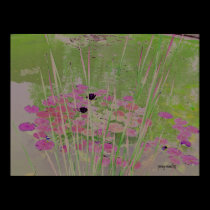 Impressionist Lilypad Poster posters