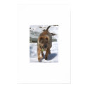 Impressionist Sharpei posters