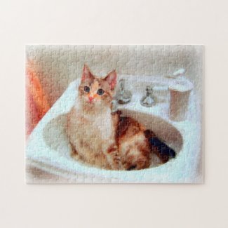 Impressionist's Cat in a Sink Puzzle puzzle