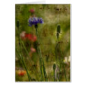 Impressions Card