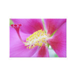 Impresso® Hibiscus by MB7Art Gallery Wrapped Canvas Impresso® Hibiscus by MB7Art Gallery Wrapped Canvas