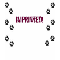 imprinted t-shirts