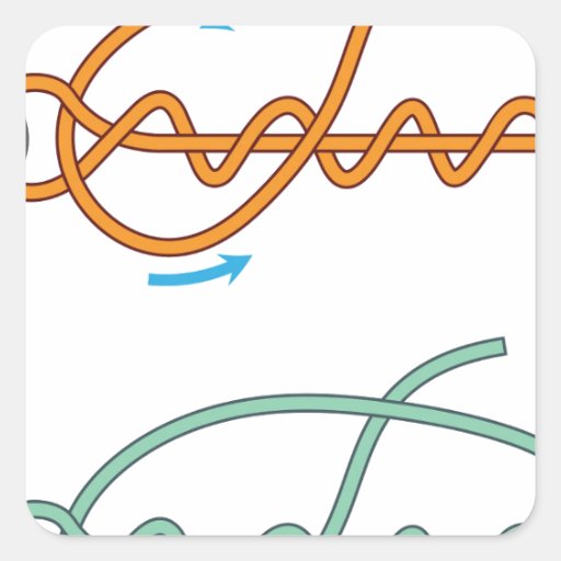 Improved clinch knot diagram two color version square sticker | Zazzle
