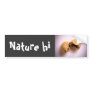 in a better place bumper sticker