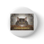In a cat's eyes.. buttons