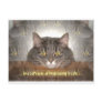 In a cat's eyes.. postcards