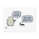 In A Pickle Post Cards