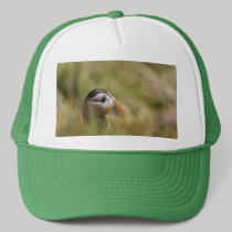 In a Sea of Green Puffin hats