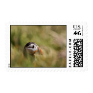 In a Sea of Green Puffin stamp