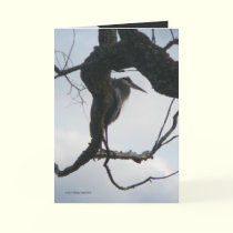 In a Tree cards by MoiraAshleigh In a Tree cards