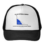 In An Optimal World Is Your Solution Feasible? Hats