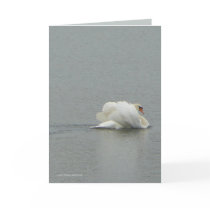 In Beauty cards by MoiraAshleigh In Beauty cards