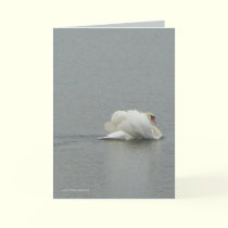 In Beauty cards by MoiraAshleigh In Beauty cards