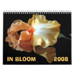 blooms, flowers, calendar, nature, beauty, roses,