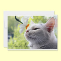 In Bloom invitations by JCatGarden In Bloom invitations