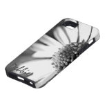 In Bloom l B&W Foral Photography iPhone 5 Covers