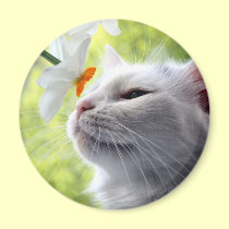 In Bloom magnets by JCatGarden In Bloom magnets