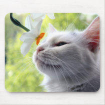 In Bloom mousepads by JCatGarden In Bloom mousepads