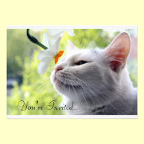 In Bloom invitations