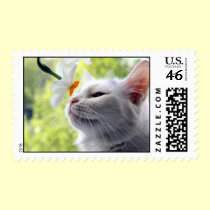 In Bloom postage by JCatGarden In Bloom postage