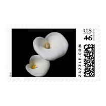 In Bloom postage