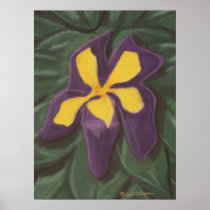 "In Bloom" print (SSS) posters