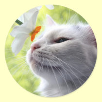 In Bloom stickers