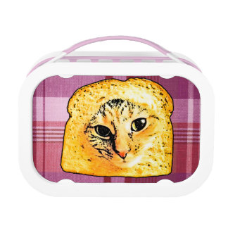 cat lunch boxes