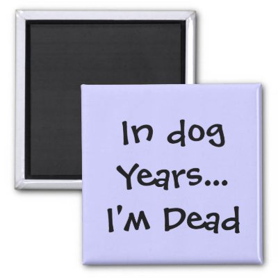 In dog Years...I'm Dead magnet