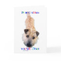 In Dog Years You're 350 cards