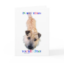In Dog Years You're 350 cards