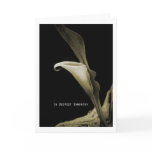 in DTE plague sympathy Card
