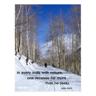 In every walk with nature...by John Muir Post Card