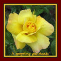 In everything give thanks magnet