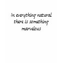 In everything natural there is something marvelous t-shirts