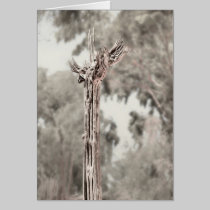 In Exaltation cards