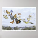 In Fairyland: The Fairy Queen Takes an Airy Drive print