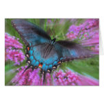 In flight , card