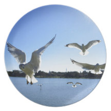In flight dinner plates