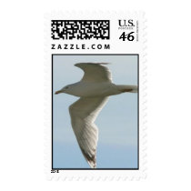In Flight stamps