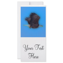 'In Flight' Rack Card Template