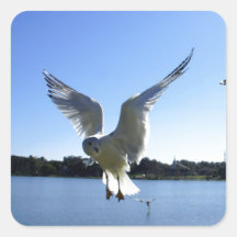 In flight sticker