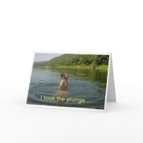 In for a Dip cards by katymanrique In for a Dip cards