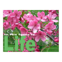 In His favor is life posters by BibleArt In His favor is life posters