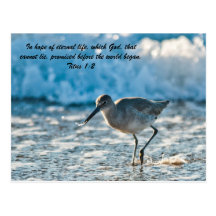 In hope of eternal life, which God, that cannot li Post Cards