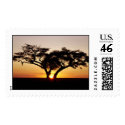 IN KENYA postage by makaku777 IN KENYA postage